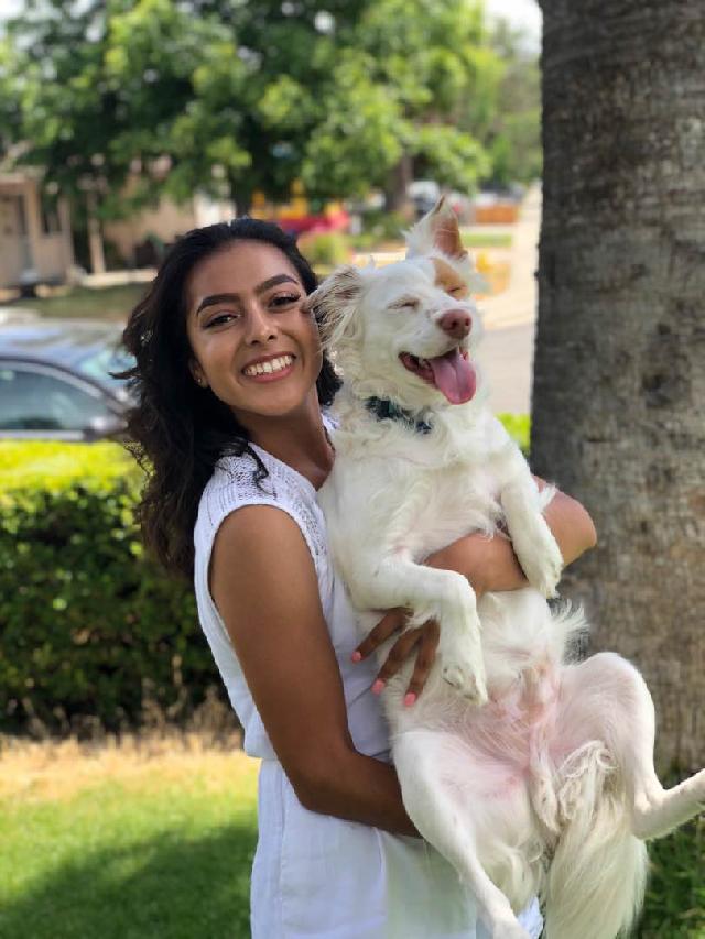Dog Boarding in 6, Santa Barbara Jess’s Dog Boarding PetBacker Home Pet Hotel