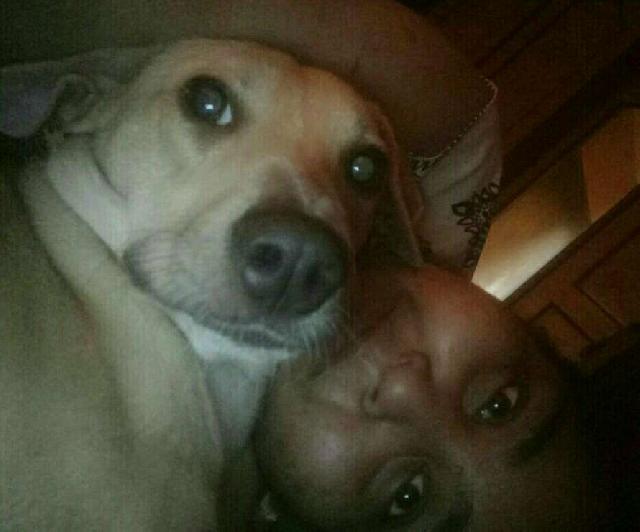 Dog, Cat Daycare in Nr fish market (E), Badlapur Woofy Woof