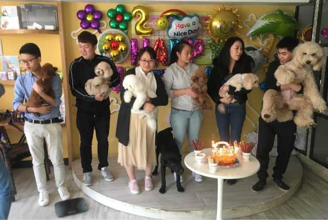 dog and cat hotel near me