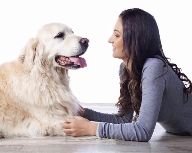 Dog Sitter in Mornington Peninsula, Mornington Sophie's Dog