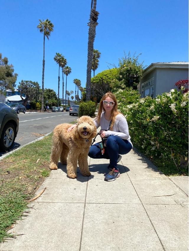 Pet Sitter in La Jolla , West Hollywood Alexa’s House/pet Sitting