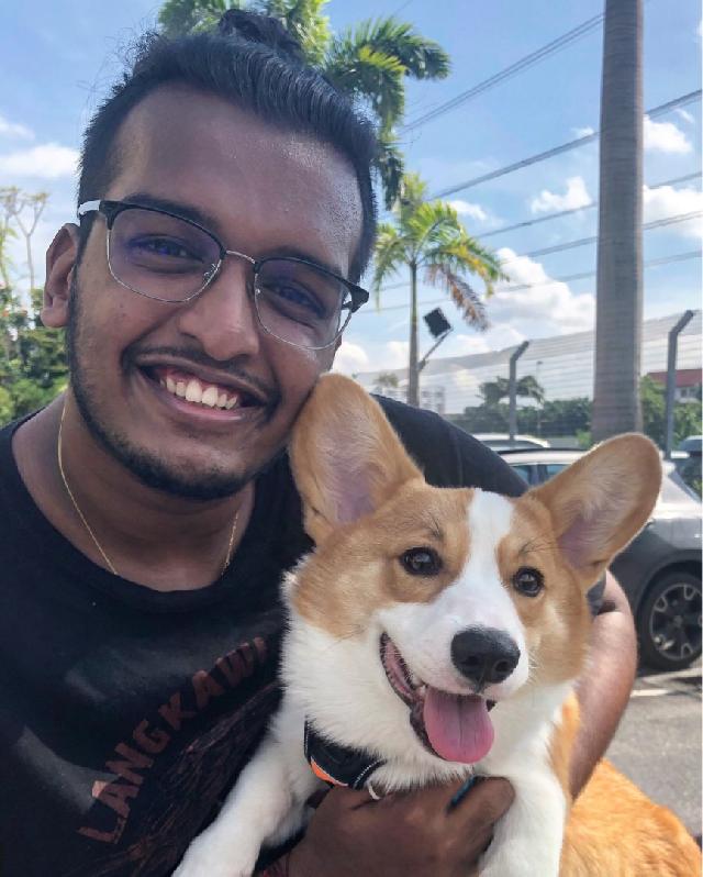 Puchong, Malaysia Best Pet Hotel Home Boarding Taman Puchong Prima