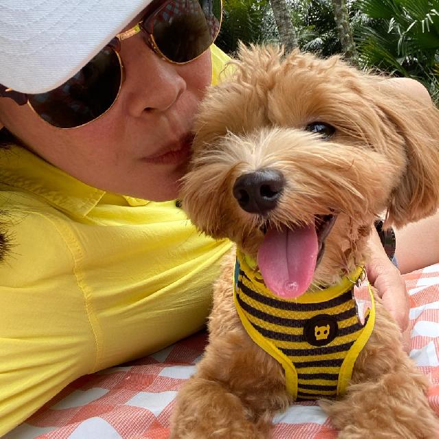 Dog Hotel Home Pet Boarding in Balestier, Novena, Novena Poochie