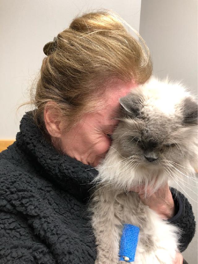 Dog, Cat Boarding in River Park Rd, Timmins Jackie’s Dog Walking