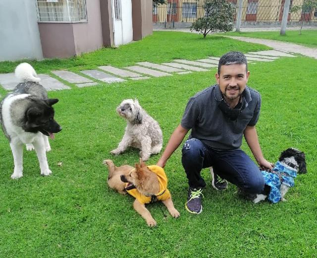 Pet Boarding in Katy, Katy Alojamiento PetBacker Home Pet Hotel