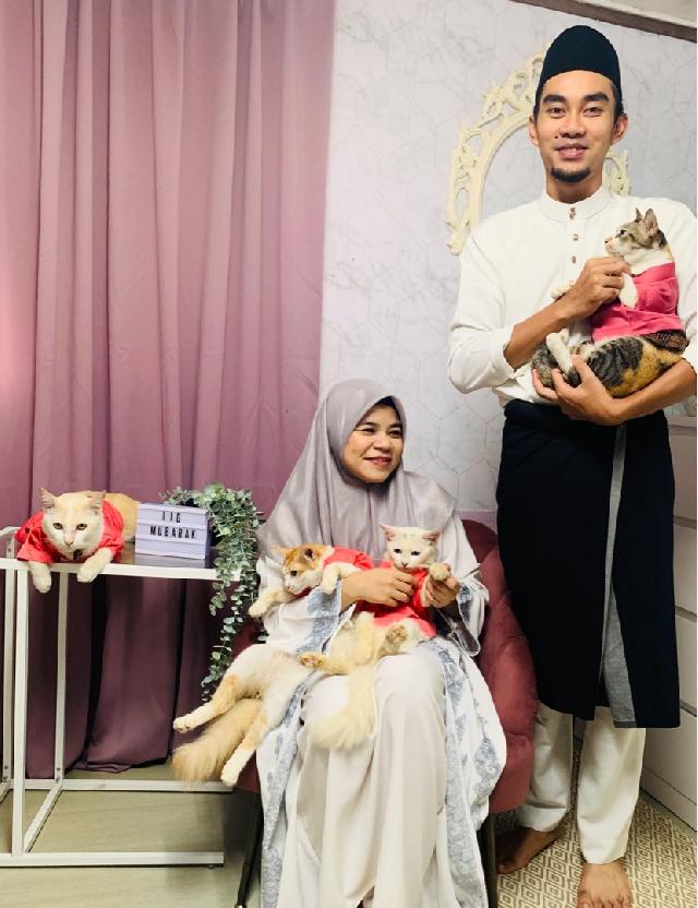 Puchong Best Cat Hotel Home Boarding Kampung Pulau Meranti