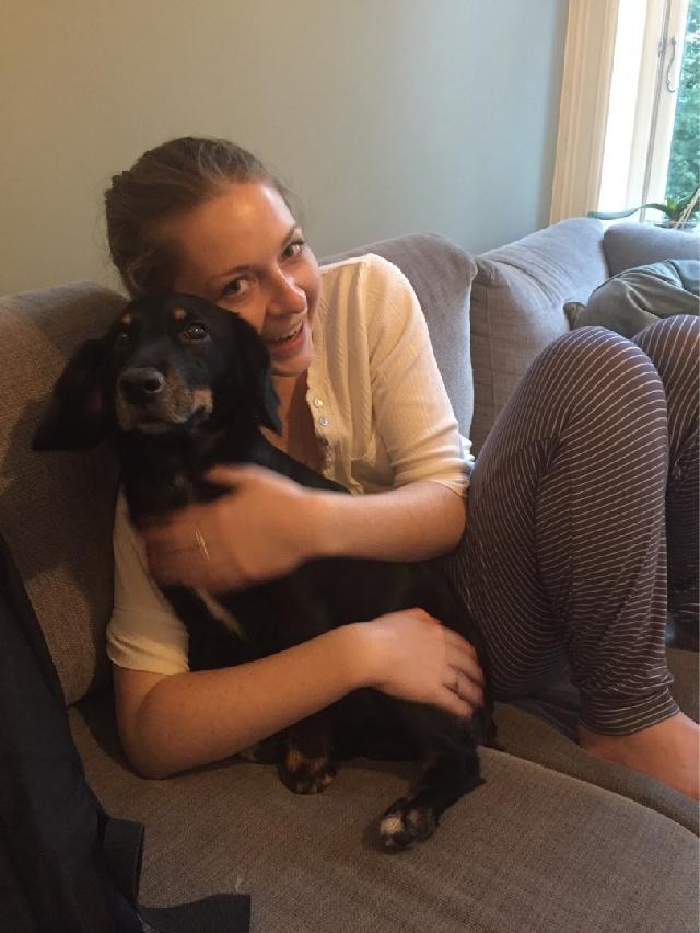 live in dog sitters near me