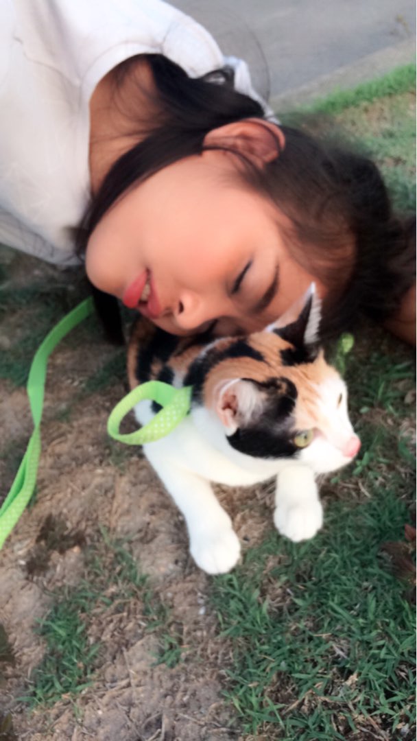 pet-sitter-in