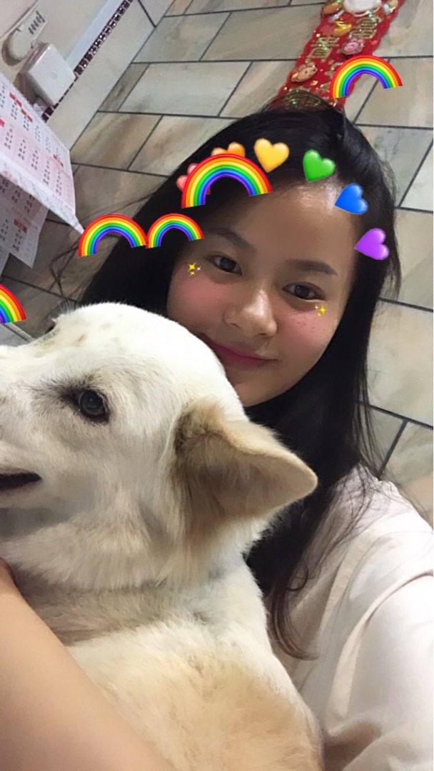 Pet Hotel Home Pet Boarding in Ipoh, Bercham, Taman Cahaya Tasek Ipoh