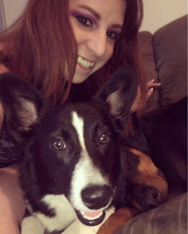 Doggy Daycare in Vancouver BC, Grandview-Woodland Bailey's Doggy