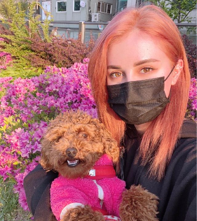 Pet Hotel Home Pet Boarding in Seoul Hongdae , Mapogu Safe And Happy