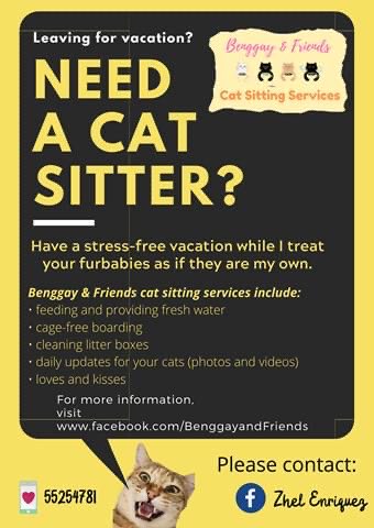 Flyer Cat Sitter Services Near Me Cat Sitting Services Near Me Cat