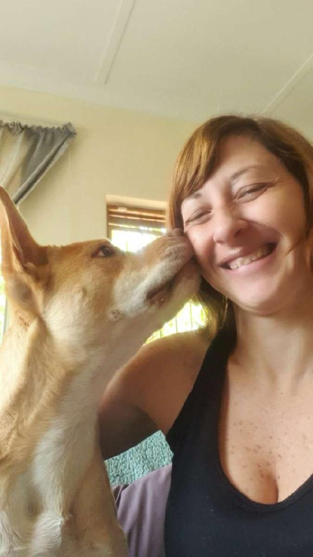 Pet Sitter in johannesburg, Randburg Roxy's Pet / House Sitting