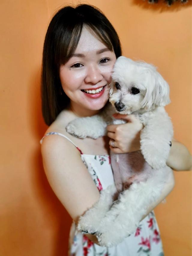 Dog Hotel Home Pet Boarding in Ang Mo Kio Street 51, Ang Mo Kio Paw