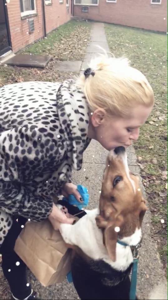 Dog Boarding in Cleveland, Cleveland Heights Noble Pet Service