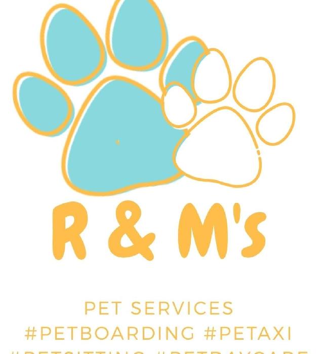 Mascota Taxi de mascotas, Recogida en Metro, Bayamón R & M's Pet Taxi