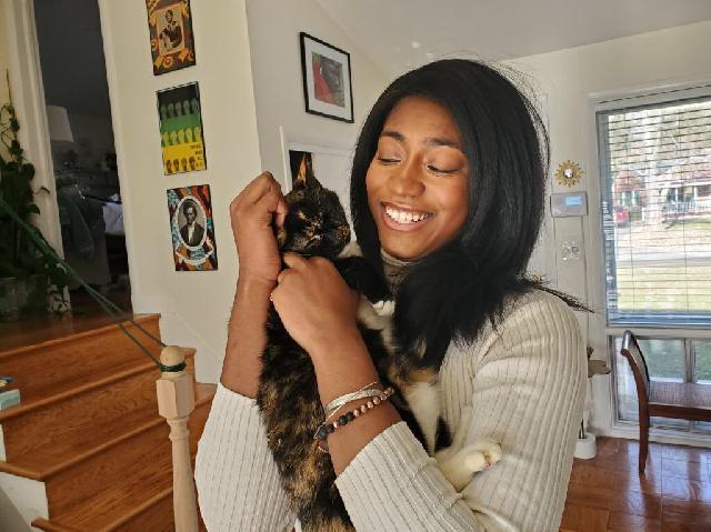 cat boarding manhattan