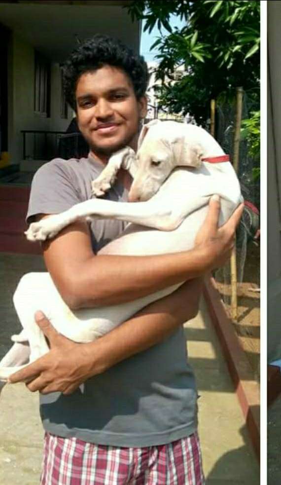 Pet Sitter in Hyderabad Warangal, Hyderabad Chintu's PetBacker