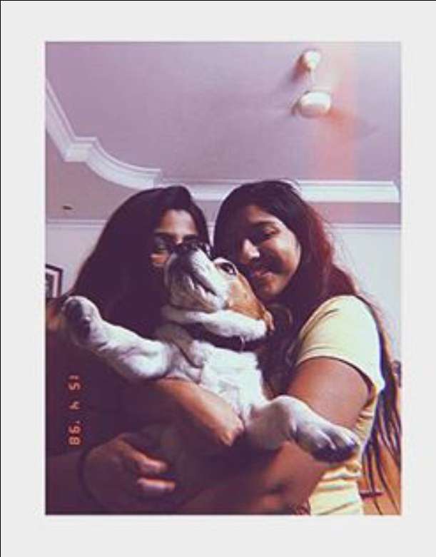 Pet Hotel Home Pet Boarding in Delhi, New Delhi PetCo. PetBacker Delhi