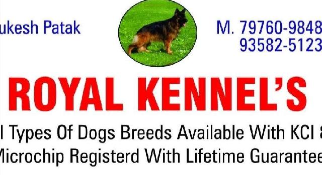 Dog Hotel Home Pet Boarding in Kota rajasthan India, Kota - Main Image