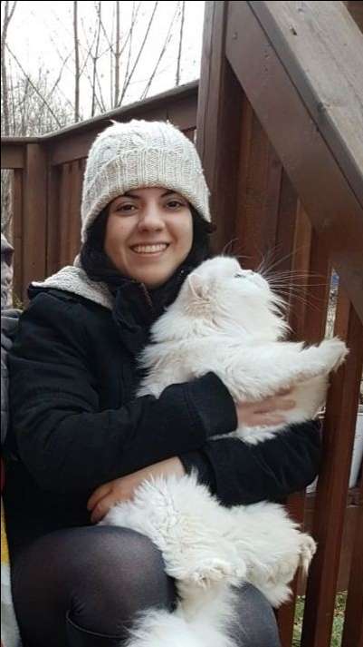 GatoPeluqueria de mascotas en Scarborough Toronto Rira Cat