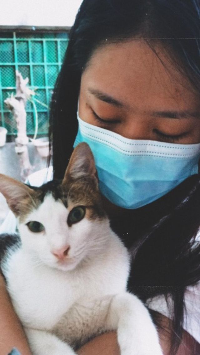 Pet Daycare in Filinvest 1 Road, Quezon City Camille Pet Day Care 🦴 PetBacker Metro Manila