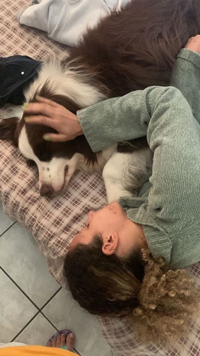 エッセンのペットシッター|エッセン、ドイツ、犬や猫のために座っているペット