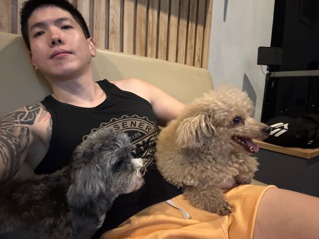 Pet Hotel Home Pet Boarding in Karawaci, Gading Ser, Karawaci