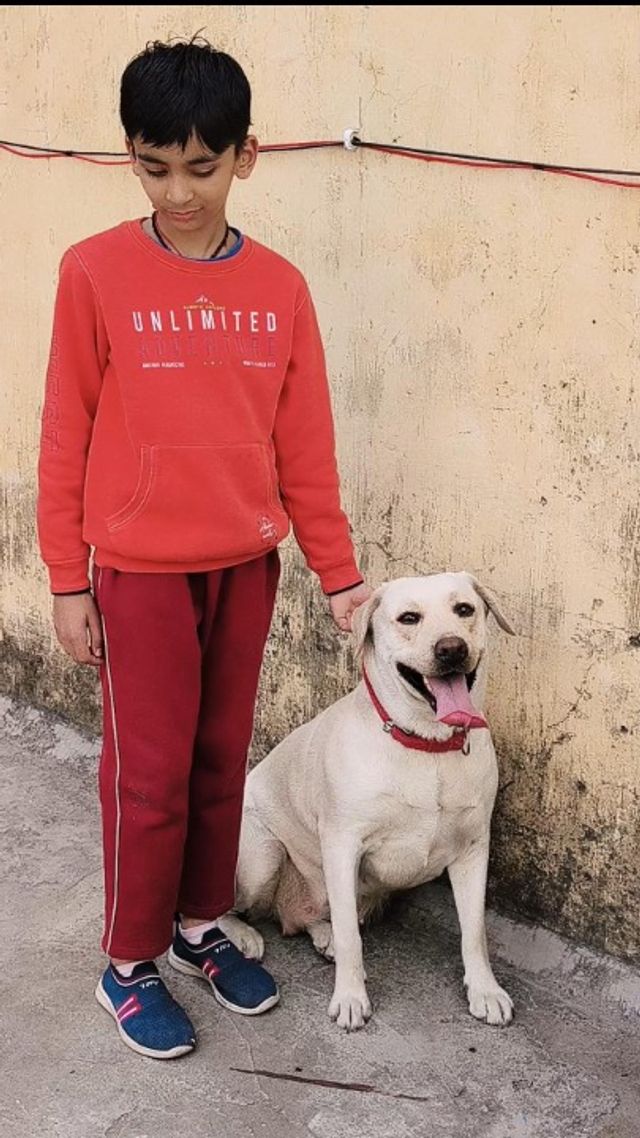 Pet Hotel Home Pet Boarding in Sector 18 Gurgaon , Gurugram Sachin