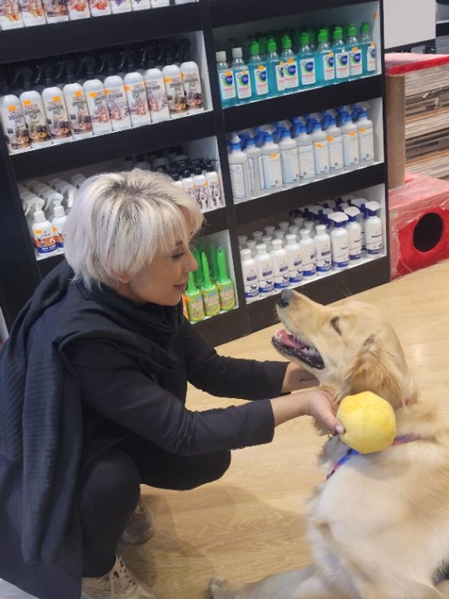 リンツのペットシッター、リンツ|リンツで動物と犬のトレーナーを探しています