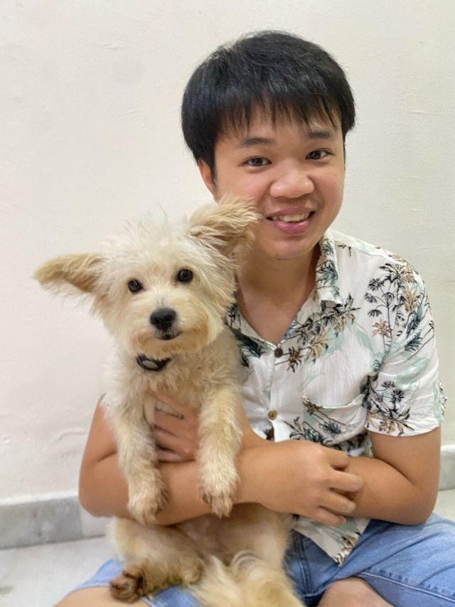 Pet Taxi Transport in KL | Axel Pet Taxi | PetBacker Kuala Lumpur