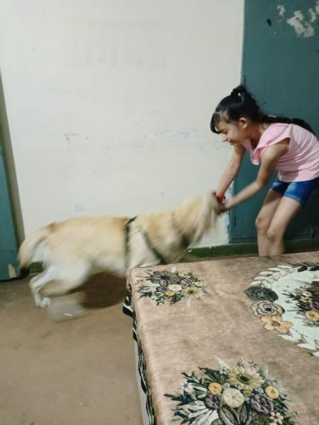 Lovely Smart Girl Playing Baby Cute Dogs Bitty Baby® Doll #2 Care