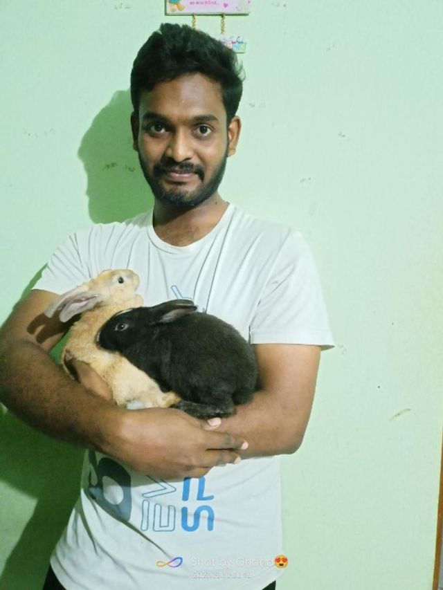 Pet Hotel Home Pet Boarding in Akkayapelam Lalitha , Visakhapatnam