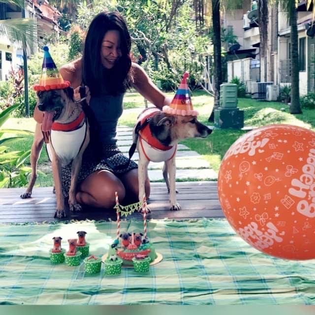 Care Boarding Hattie's Doggie Daycare Pet Hotel Home Pet