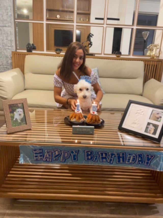 Pet Hotel Home Pet Boarding in Damac Hills, Motor C, Dubai Your