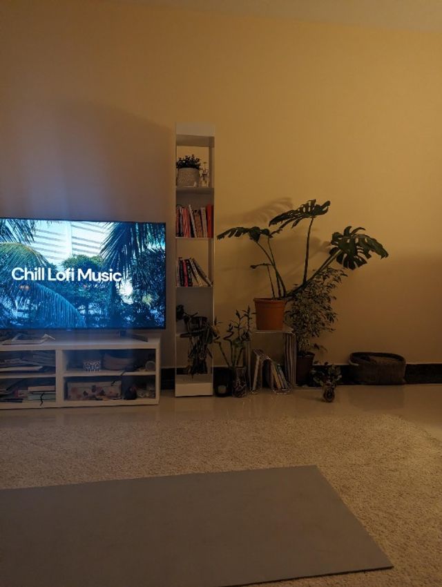 Pet Hotel Home Pet Boarding in Northern Riyadh, Riyadh Ethar Pet