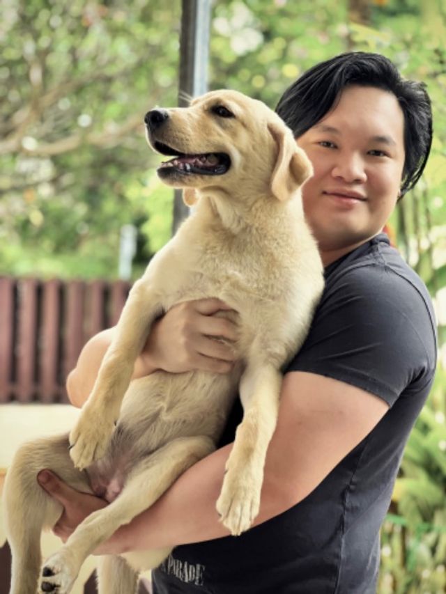 Grooming Lucky Dog Retreat Rescue Pet Hotel Home Pet Boarding In