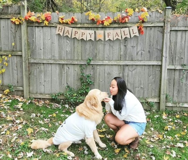 Pet Boarding in Right off of route 4, Ellicott City Jjs Dog Boarding