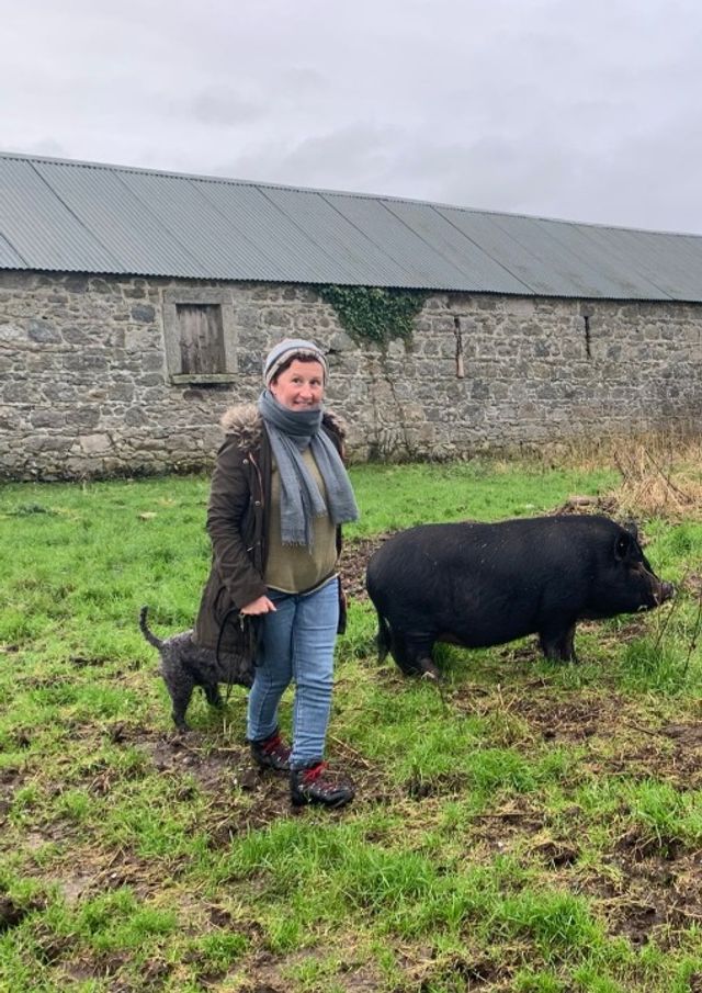 Pet Hotel Home Pet Boarding in Dublin, Dublin Kai's Pet Care PetBacker County Dublin