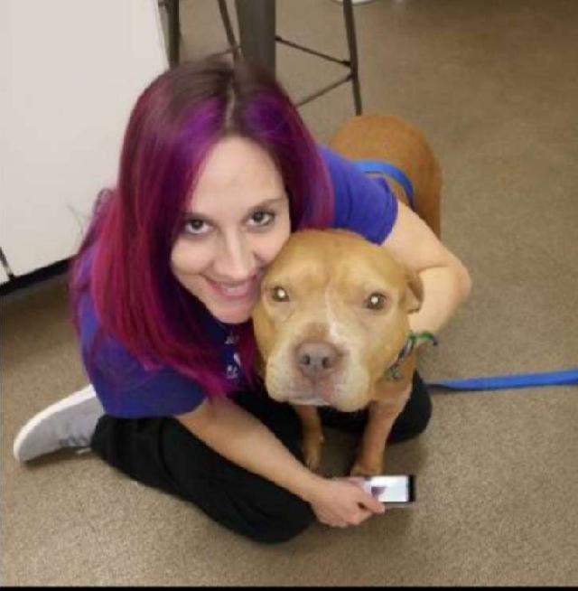 just like home boarding