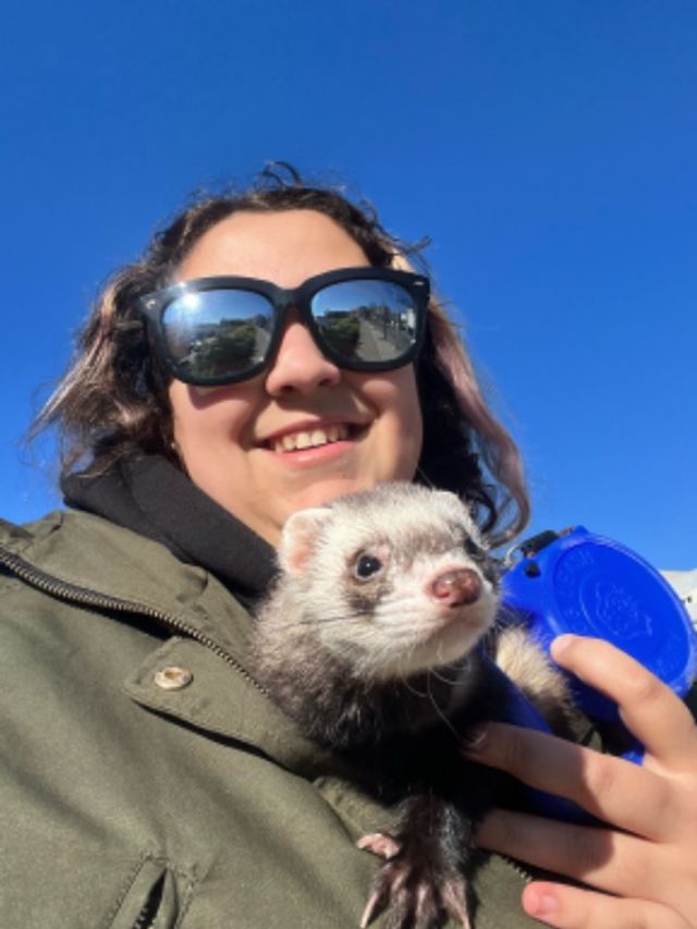 Pet Hotel Home Pet Boarding in Rua Lúcio da , Palmela Pet