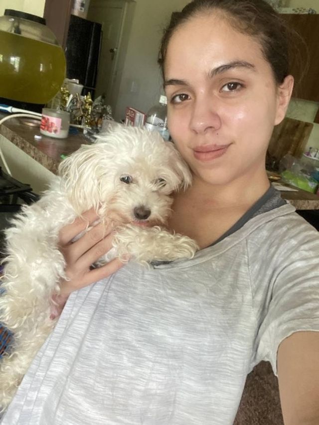 Pet Boarding in Warner Avenue, Hyattsville Landover Hills Dog/Cat