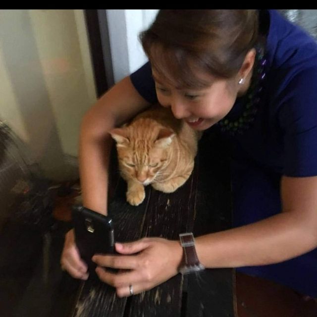 Pet Sitter in Joo Chiat Road, Singapore Anna's Kitty Care PetBacker