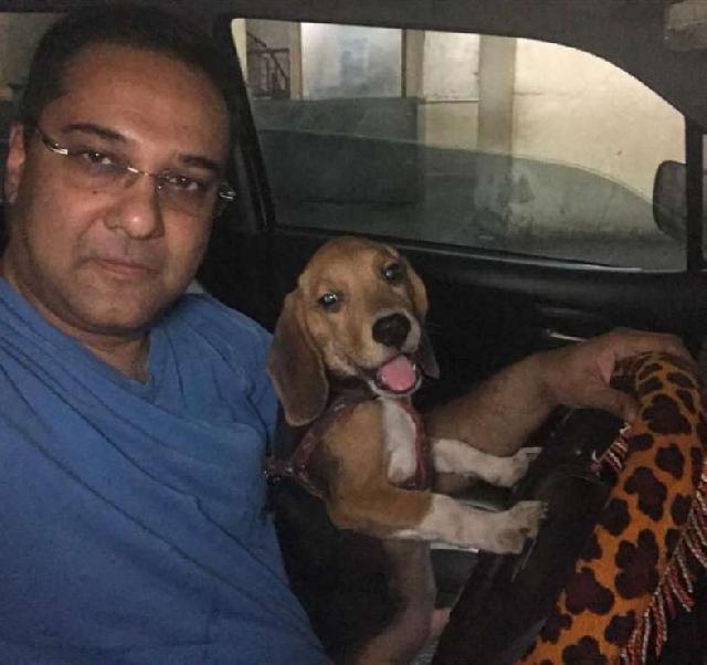 4 legged friends daycare and boarding