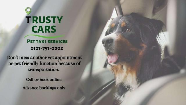 Pet Taxi Transport in Rednal Trusty Cars Pet Taxi Service