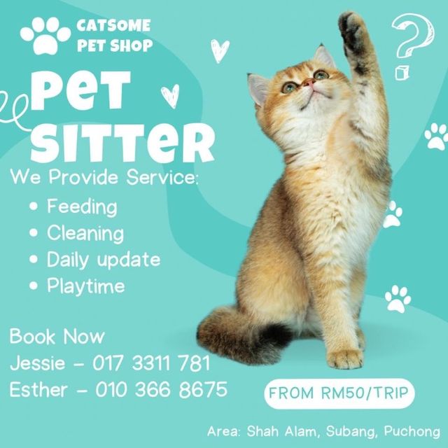 Kota kemuning, rimba Best Pet House Sitting Shah Alam PetBacker