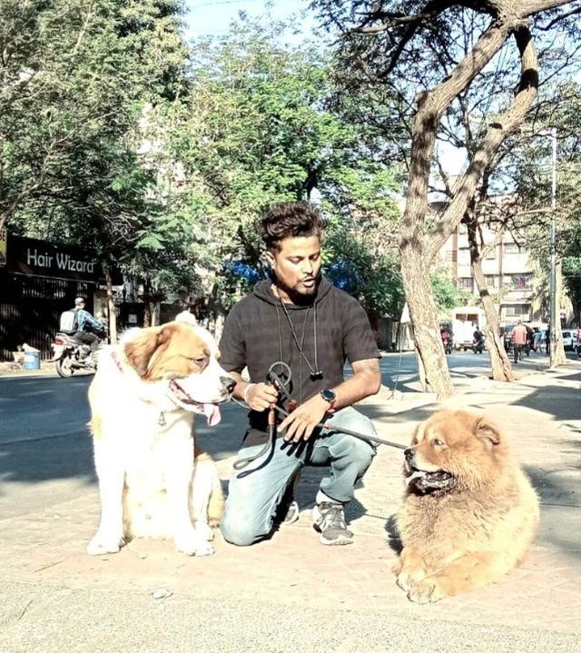 Pet Training in Mira Bhayandar Happy Tails Academy PetBacker
