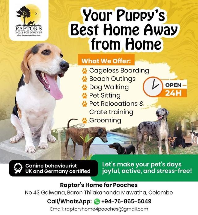 Dog Boarding House Call Mobile Grooming Pet Boarding Pet Grooming