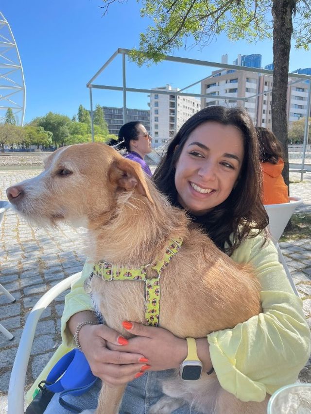 pet-taxi-transport-in-arroios-saldanha-p-lisboa-izzie-s-dog-cab