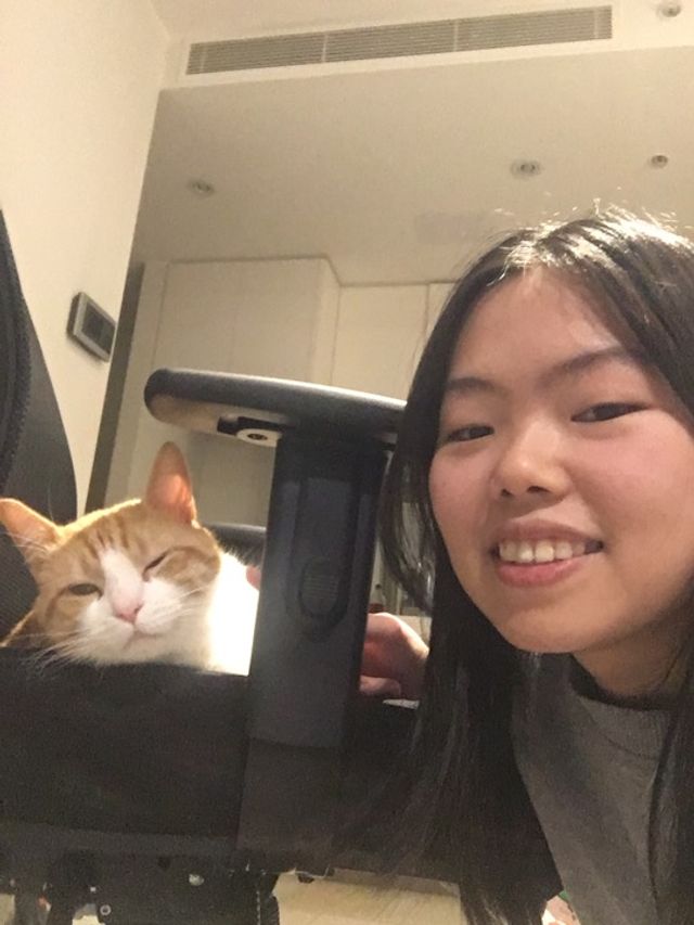 Pet Boarding in Flinders Street, North Melbourne Petopia Sleepover